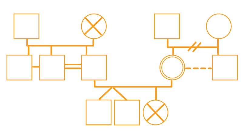 Genogram Example