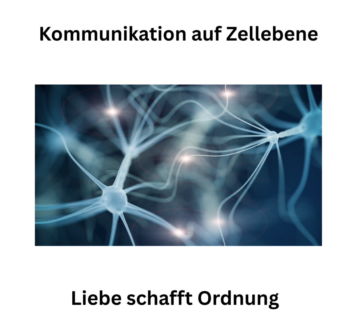 Bildschirmfoto 2025-05-15 um 21.55.34