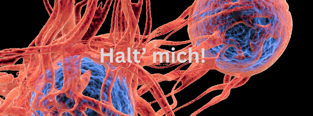 Thomas Bach (1080 x 400 px)